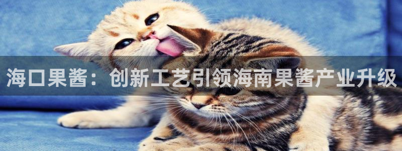 彩名堂免费计划官网5.0app