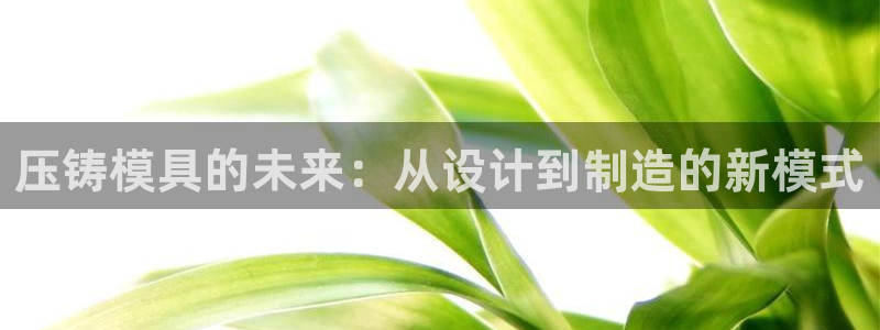 彩名堂官网计划01