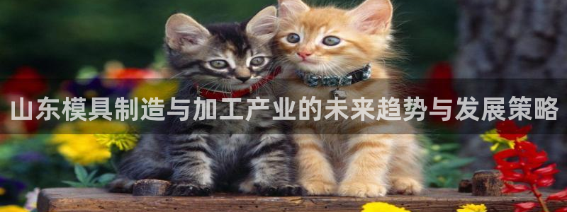 彩名堂合作655560