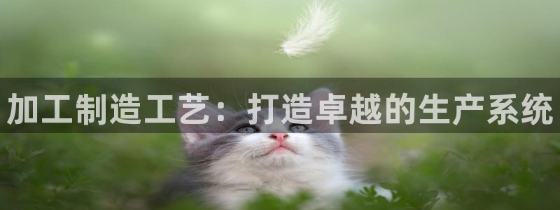 彩名堂改名稻草人了吗是真的吗