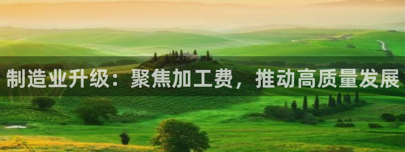 彩名堂合作655560