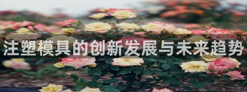 彩名堂怎么用不输