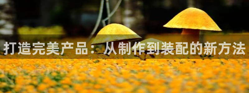 彩名堂为什么用不了了