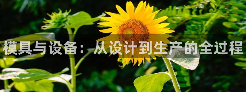 彩名堂怎么用不了了