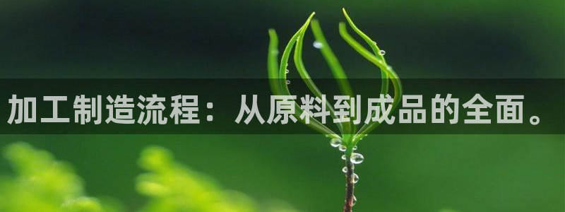 彩名堂免费计划亮点