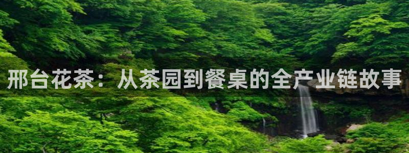 最新彩名堂计划