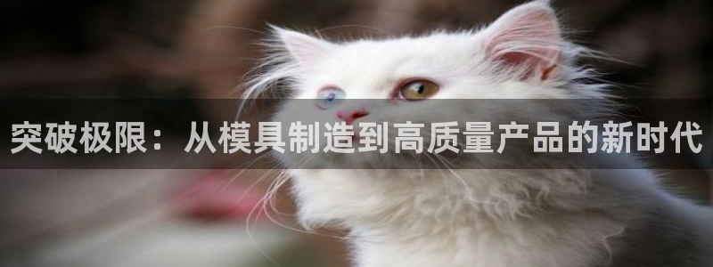 彩名堂免费计划5.0使用方法