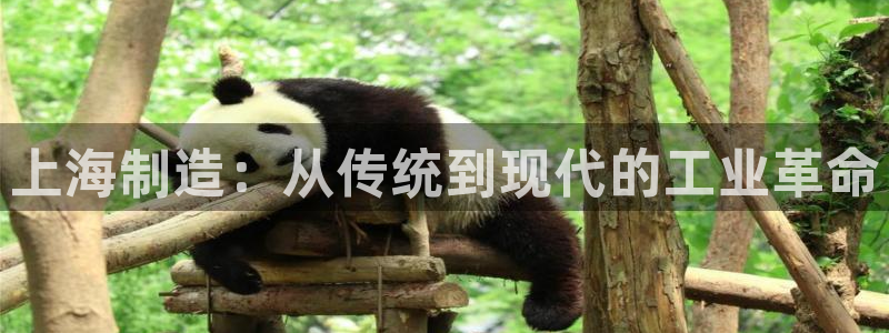 彩名堂客服电话号码