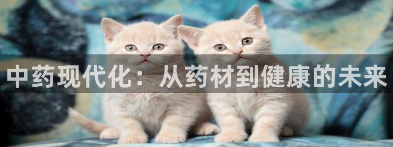 为什么彩名堂今天不能用