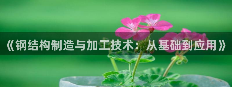 彩名堂怎么选稳定计划产品