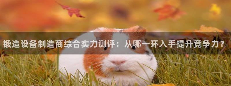 彩名堂不能用了吗