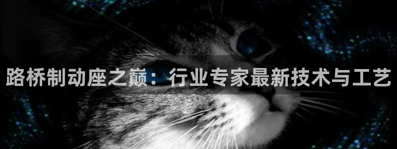 彩名堂官网网页计划