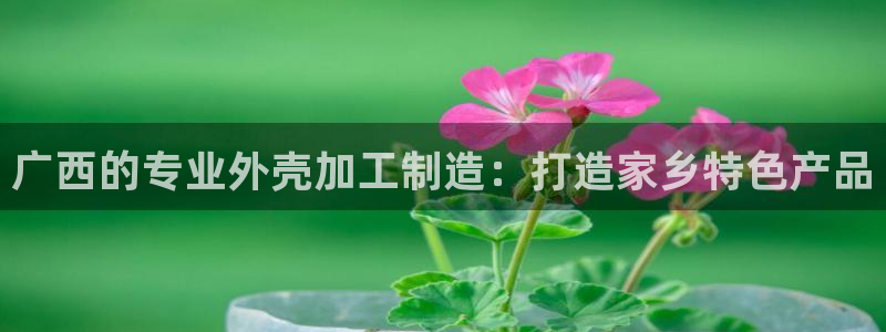 彩名堂怎么跟计划才不连挂呢