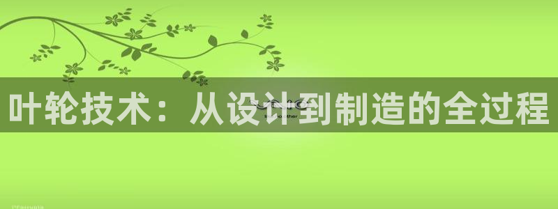 为什么彩名堂今天不能用