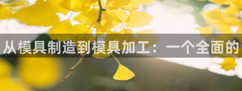 最新彩名堂计划