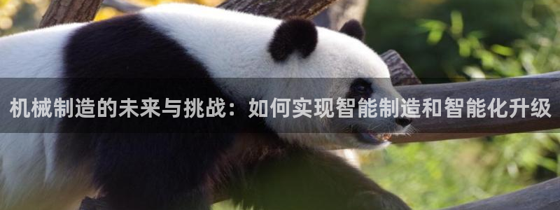 彩名堂计划app安卓免费下载