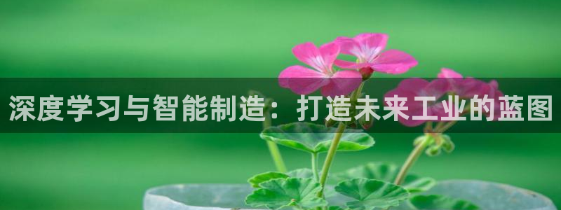 彩名堂最新免费计划官网