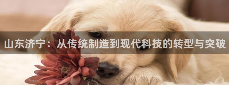 彩名堂安卓客户端官网下载