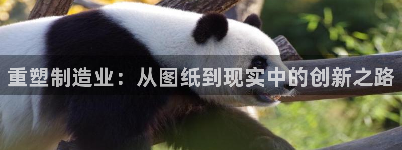 彩名堂是不是坑人的