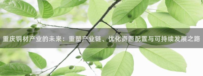 彩名堂官网客户端