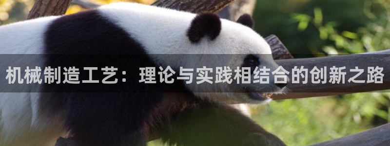 彩名堂幸运飞船计划