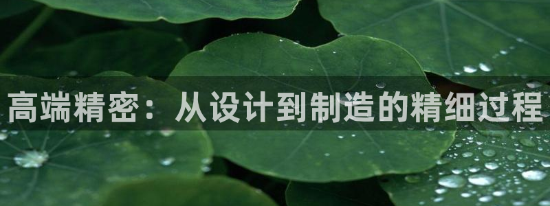 如何进入彩名堂官网更新