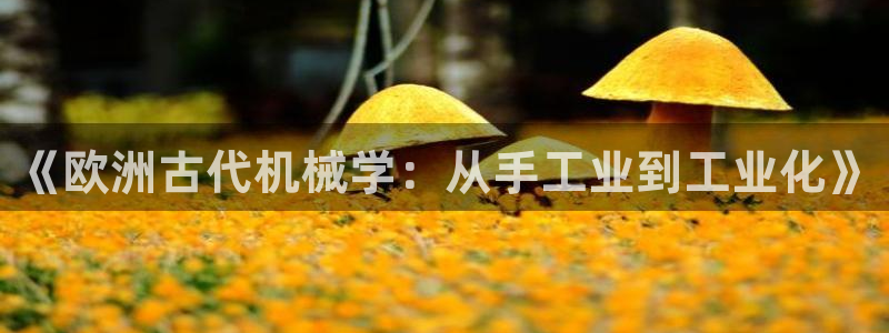 彩名堂预测官网
