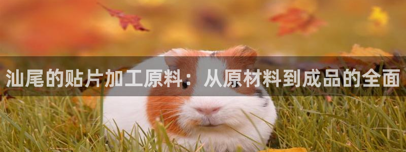 彩名堂人工计划怎么找不到下载了?