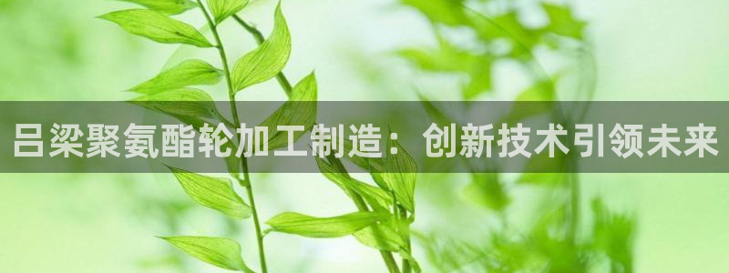彩名堂