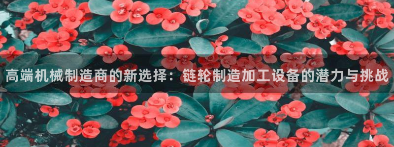 彩名堂安卓客户端官网